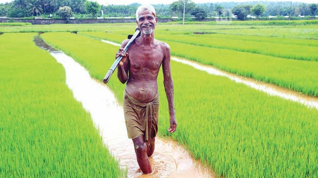 No 21st instalment for farmers who got land after Feb 2019 — Details inside 9 No 21st instalment for farmers who got land after Feb 2019 — Details inside