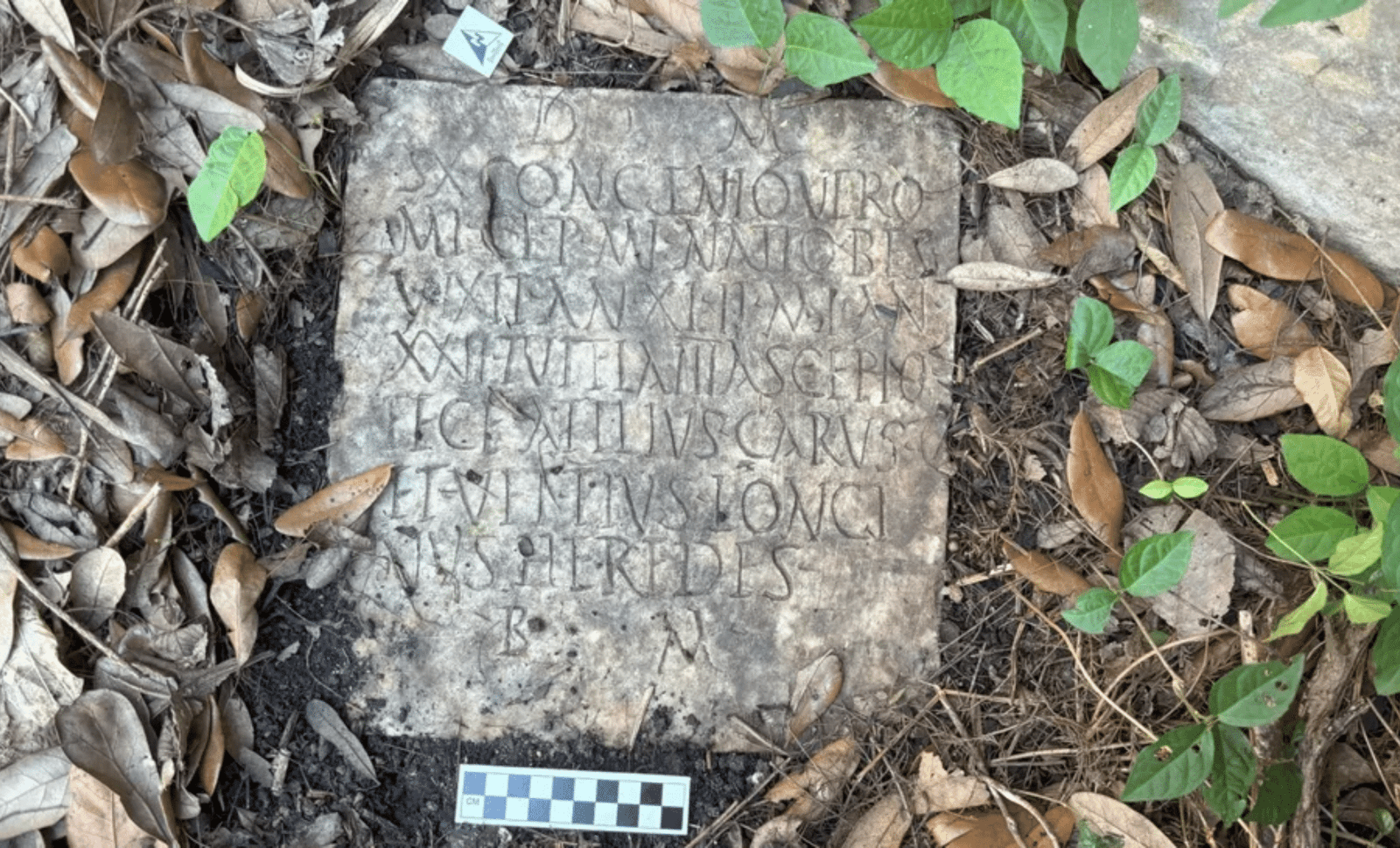 Ancient Roman Tombstone Found in New Orleans Yard: A 1,900-Year-Old Mystery 9 ancient roman tombstone found in new orleans yard a 1900 year old mystery