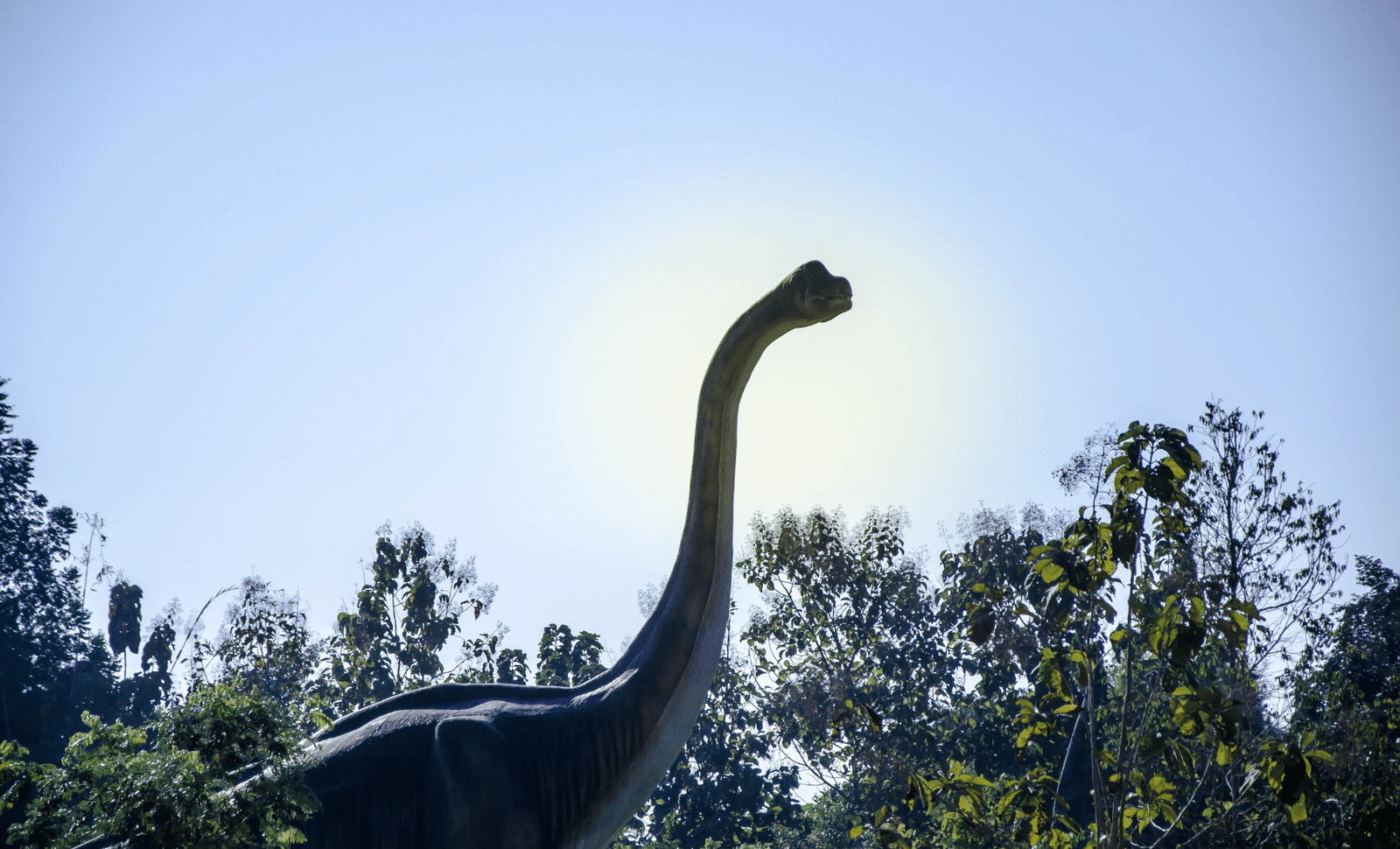 North America's Most Gigantic Dinosaur Was An Astounding 21 Meters Long 10 north americas most gigantic dinosaur was an astounding 21 meters long